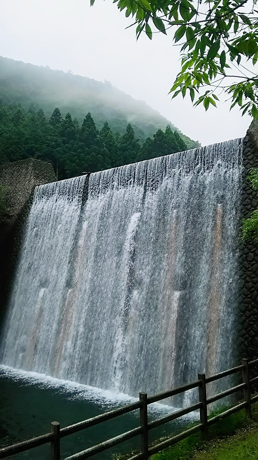 滝