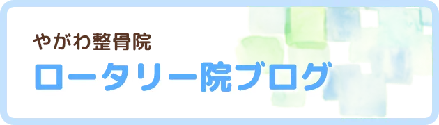 やがわ整骨院ロータリー院ブログ